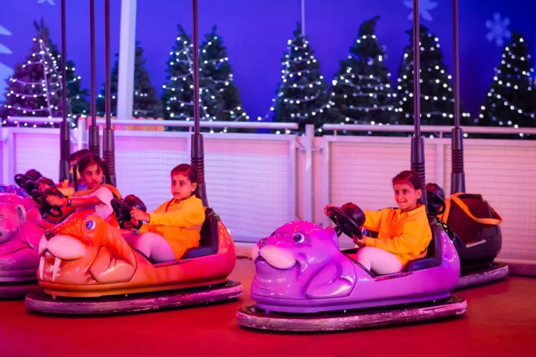 Lww Mini Rally Ax2i1302